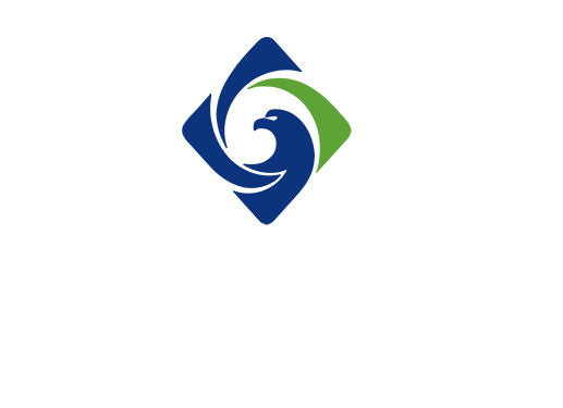 Xinsheng Electronics Logo